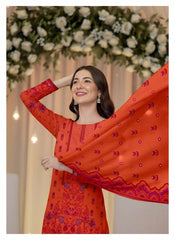3 Piece - Printed B 217